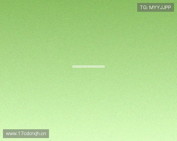 新华董事长最新任命揭晓引领企业创新发展新方向